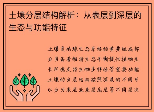 土壤分层结构解析：从表层到深层的生态与功能特征